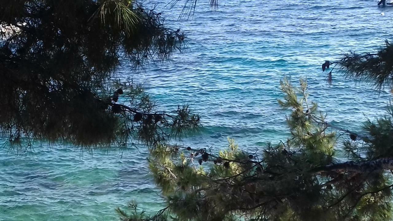 Apartments Lancek Ivan Dolac Εξωτερικό φωτογραφία